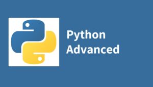 מדריך פייתון Python